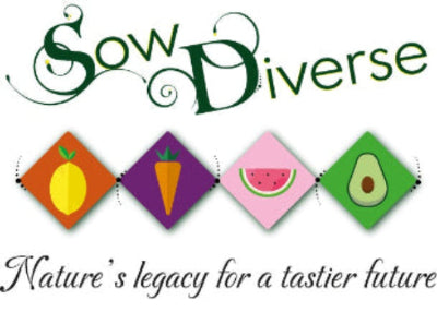 sow diverse logo