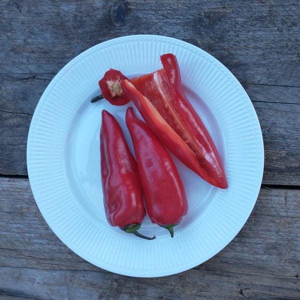 kapya pepper seeds heirloom @ sowdiverse.ie
