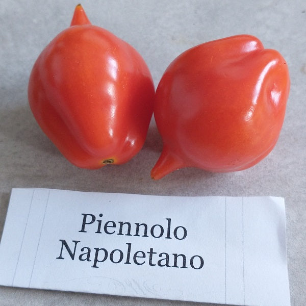 piennolo napoletano seeds organic heirloom @ sowdiverse.ie