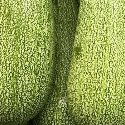 Courgette genovese seeds organic heirloom @ sowdiverse.ie