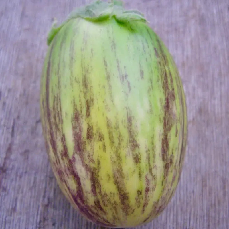 Green Aubergine organic Sow Diverse