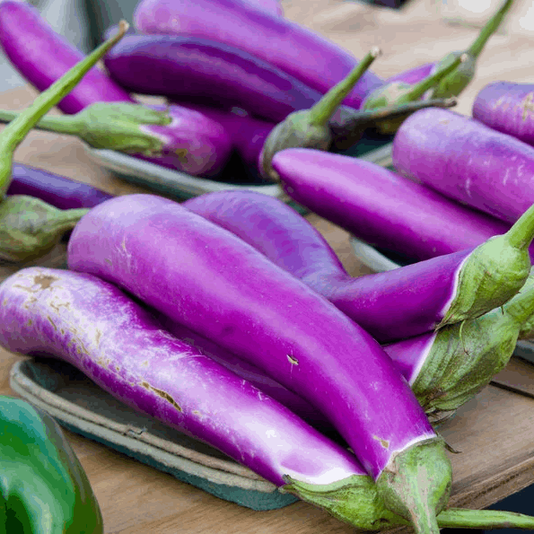 Japanese Pickling Aubergine organic Sow Diverse