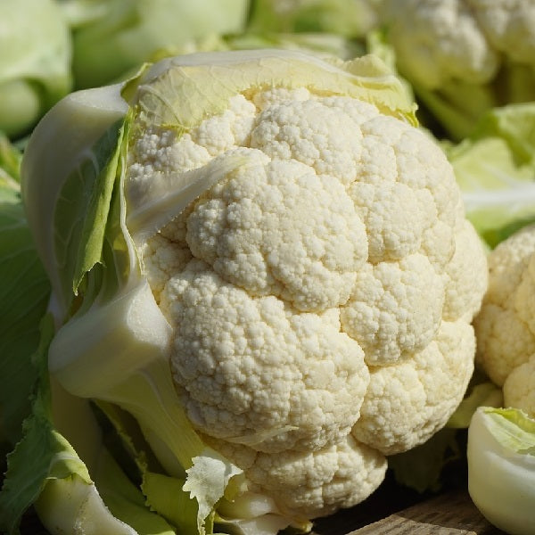 goodman cauliflower seeds @ sow diverse.ie