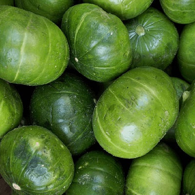 zapallito del tronco organic squash seeds @ sowdiverse.ie