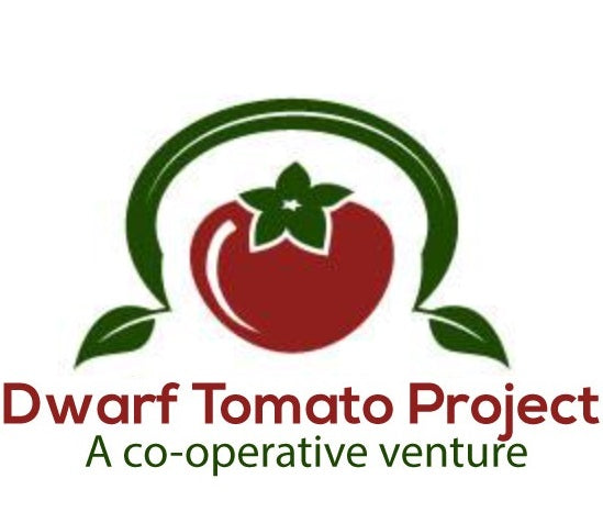 Dwarf Tomato Project