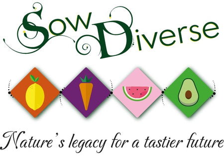 sow diverse logo