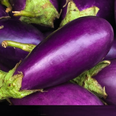 purple aubergine from Toulouse organic seeds @ sowdiverse.ie