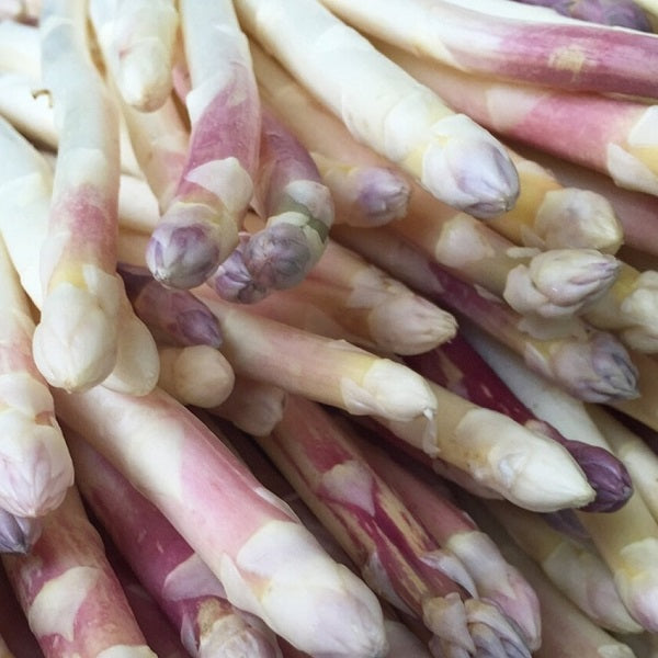 asparagus precoce d'argenteuil seeds heirloom organic @ sowdiverse.ie