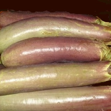 bangladeshi long aubergine seeds @ sowdiverse.ie