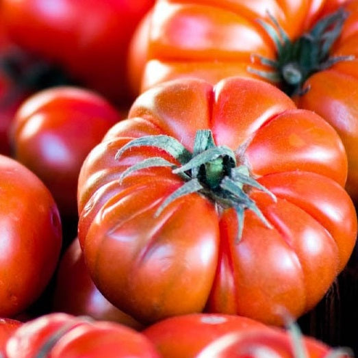 belmonte tomato seeds organic ponderosa @ sowdiverse.ie