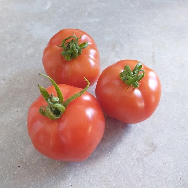 Bloody Butcher tomato seeds heirloom @ sowdiverse.ie