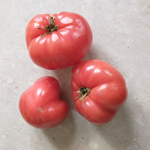 cardinal mazarin tomato seeds eirloom from russia @ sowdiverse.ie