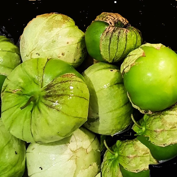 everona large green tomatillo seeds @ sowdiverse.ie