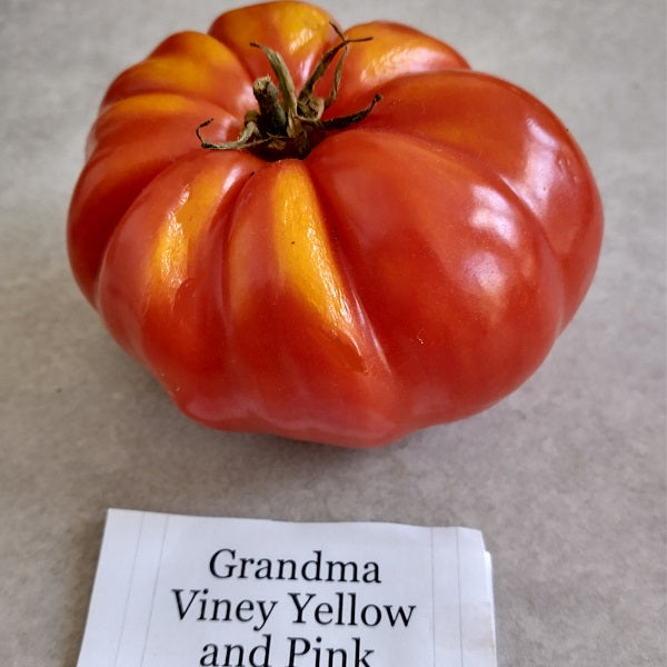 Grandma Viney's Yellow and Pink tomato heirloom seeds @ sowdiverse.ie Irish grown