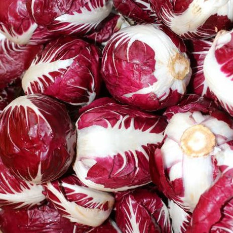 radicchio rossa di verona seeds organic @ sowdiverse.ie