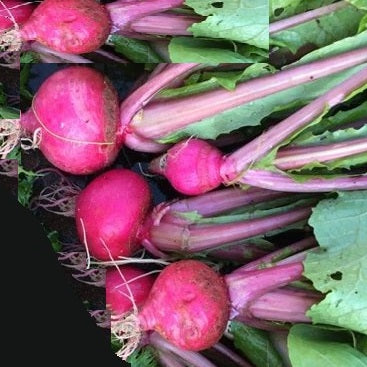 red round turnip seeds japanese @ sowdiverse.ie