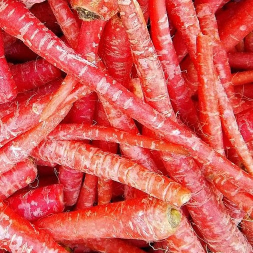 Samurai red Carrot heirloom seeds @ Sosdiverse.ie