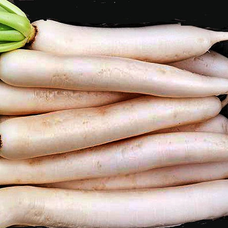 tokinashi all seasons daikon radish seeds @ sowdiverse.ie