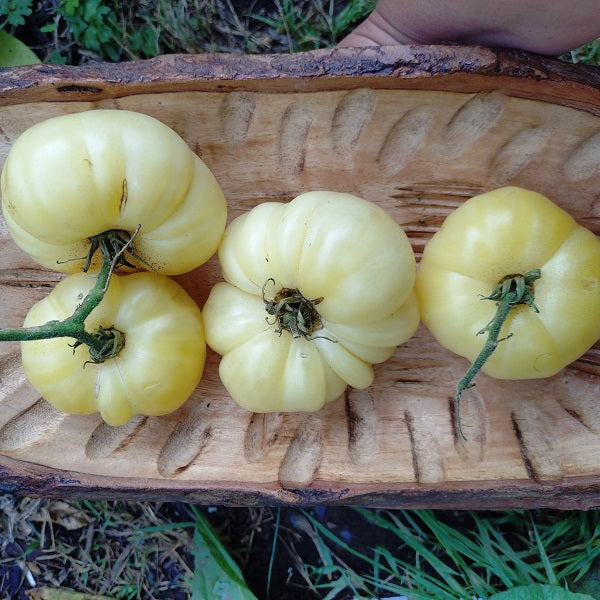 white wonder tomato on a wooden cutting board @sowdiverse.ie