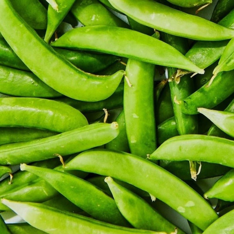 Amish Snap Pea Sow Diverse