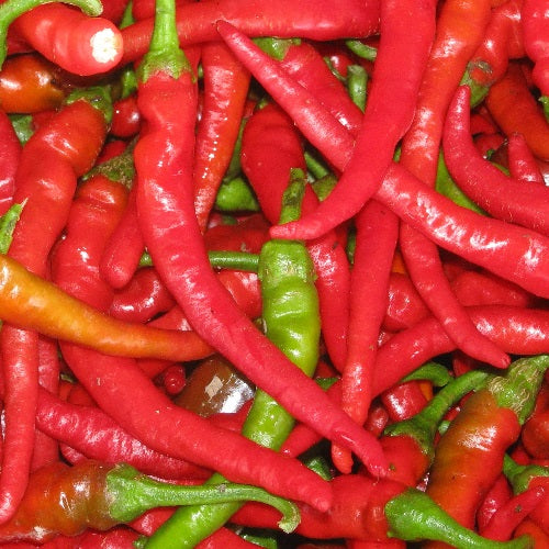 Cayenne Pepper seeds organic @ sowdiverse.ie