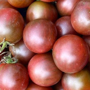 Brown Berry tomato organic Sow Diverse