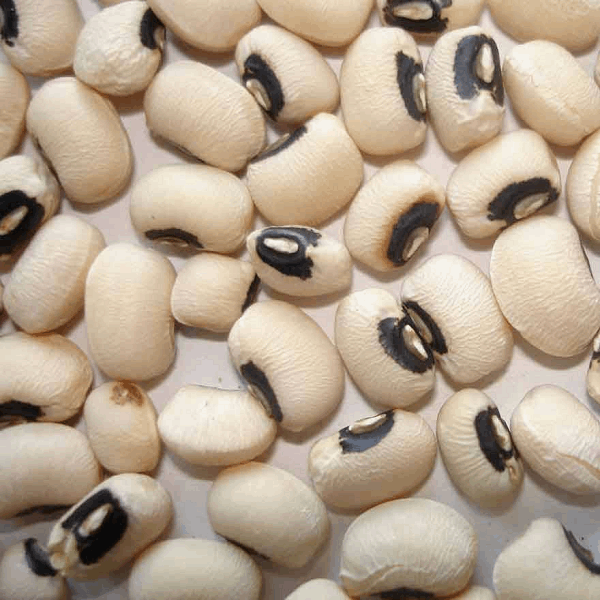 Dell'Ochio Dwarf Bean Sow Diverse