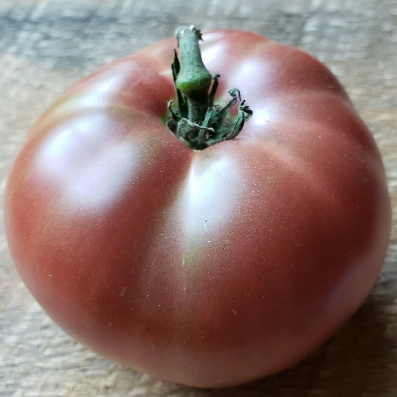 Dwarf Wild Spudleaf tomato Sow Diverse