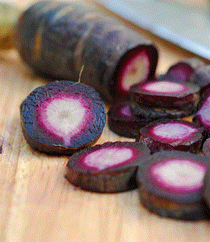 Dark Purple Carrot Pastanaga organic Sow Diverse