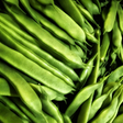 Perona flat Beans organic Sow Diverse