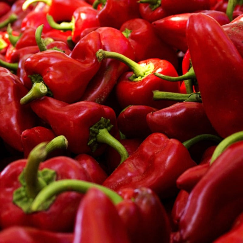 Piquillo Pepper organic Sow Diverse