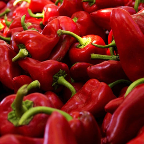 Piquillo Pepper organic Sow Diverse