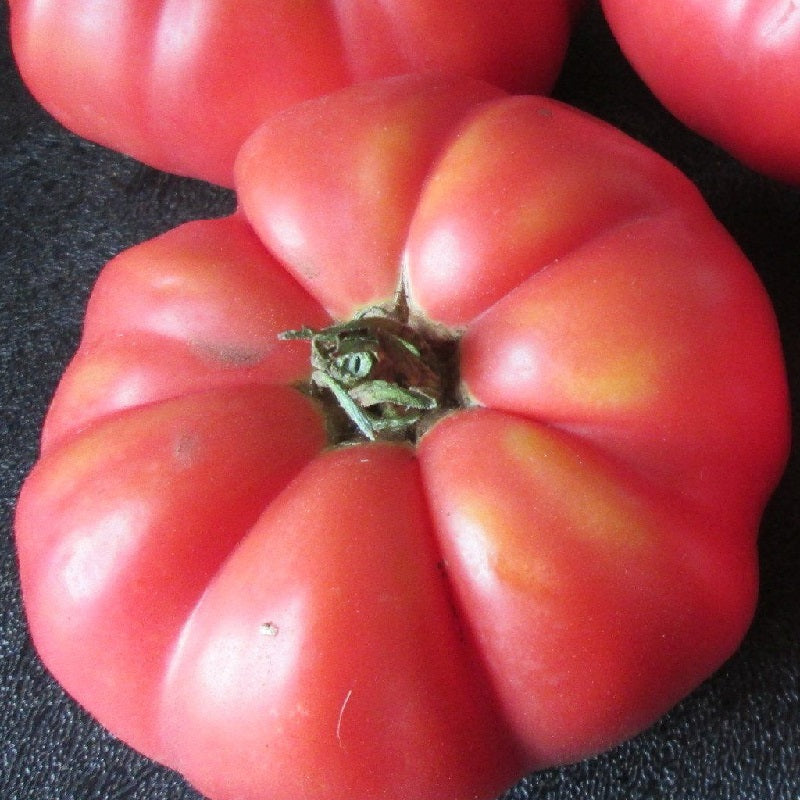 Pruden’s Purple tomato organic Sow Diverse