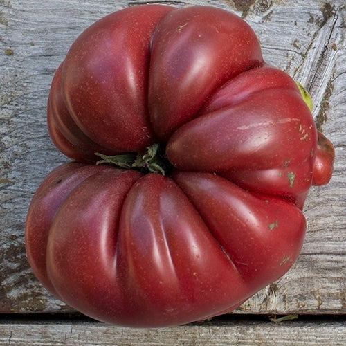 Purple Calabash Tomato organic Sow Diverse