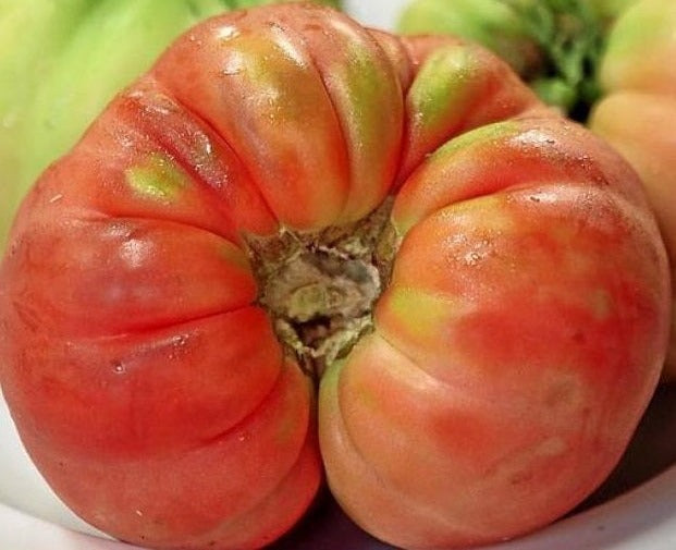 Rosa de Mura Tomato organic Sow Diverse