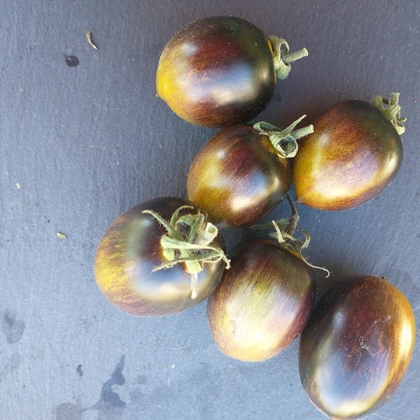 atomic grape tomato seeds @ sowdiverse.ie