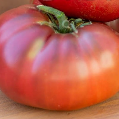 Dwarf Black Angus-Dwarf tomato project seeds @ sowdiverse.ie