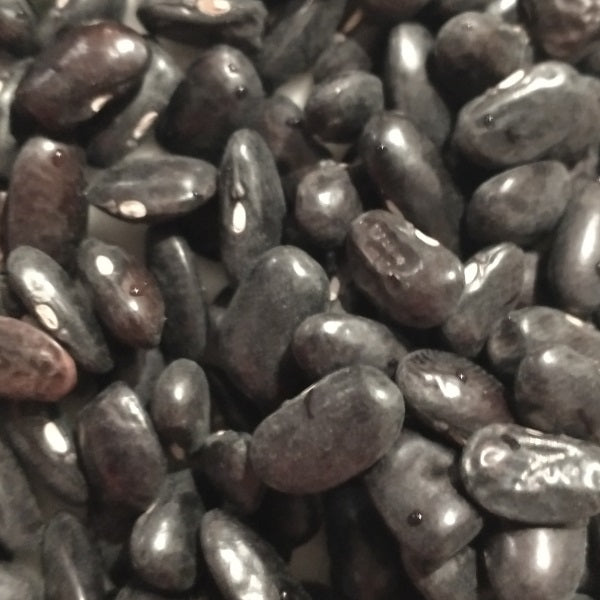 cherokee trail of tears beans heirloom seeds @ sowdiverse.ie