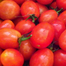 cherry roma tomato seeds @ sowdiverse.ie
