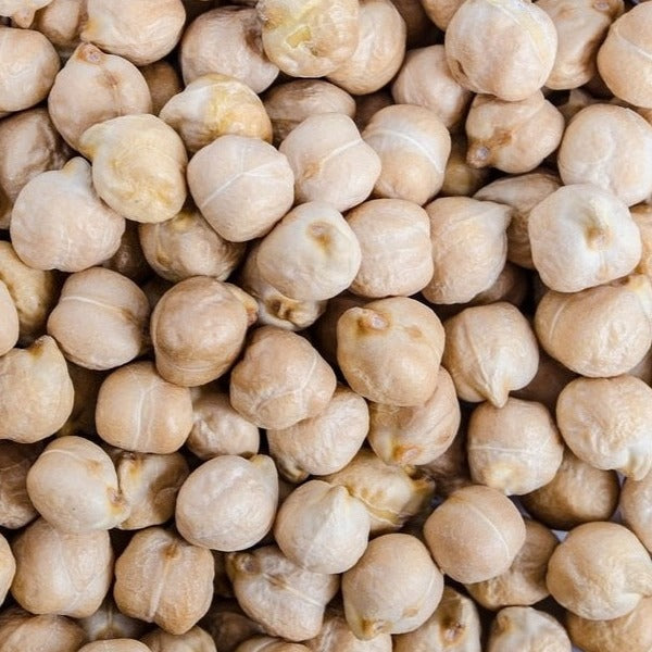 Molleric Chickpea organic Sow Diverse
