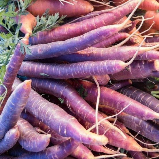 Cosmic Purple Carrot Sow Diverse