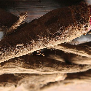 crapaudine beetroot seeds @ sowdiverse.ie