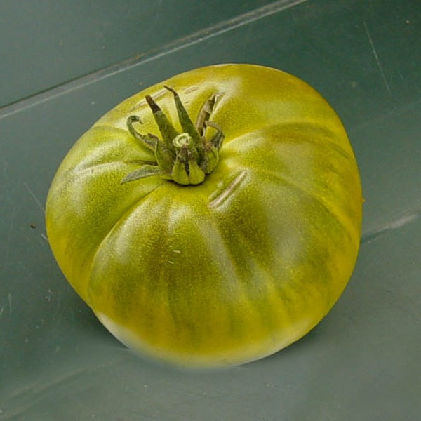 Dorothy's green tomato heirloom seeds @ Sow Diverse