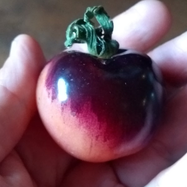 indigo rose tomato seeds @ sowdiverse.ie