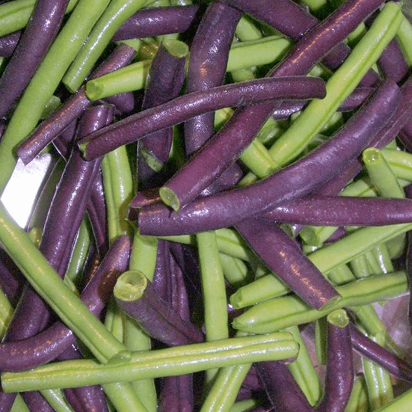 Purple and green bean organic Sow Diverse