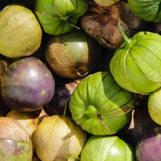 purple de milpa tomatillo seeds @ sowdiverse.ie