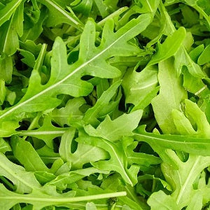 organic rocket seeds @ sowdiverse.ie