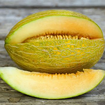 Cavaillon Melon with pink flesh Sow Diverse