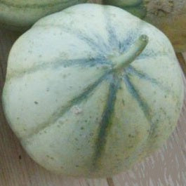 vedrantais melon cantaloup seeds @ sowdiverse.ie