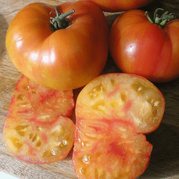 Wherokowhai tomato Dwarf tomato Sow Diverse